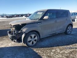 Salvage cars for sale at Earlington, KY auction: 2015 KIA Soul