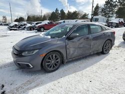 2020 Honda Civic EX for sale in Brighton, CO