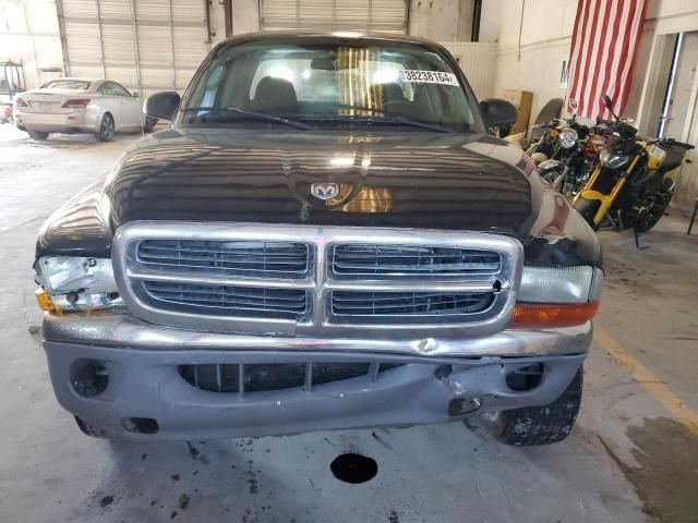 2002 Dodge Dakota SLT