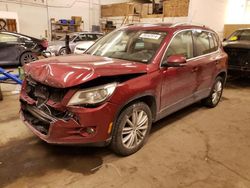Salvage cars for sale at Ham Lake, MN auction: 2010 Volkswagen Tiguan SE