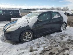 Ford Focus salvage cars for sale: 2014 Ford Focus SE