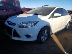 Ford Focus salvage cars for sale: 2014 Ford Focus SE