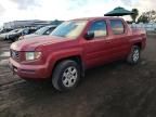 2006 Honda Ridgeline RTL