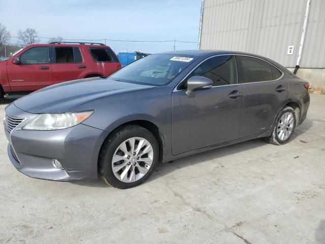 2013 Lexus ES 300H