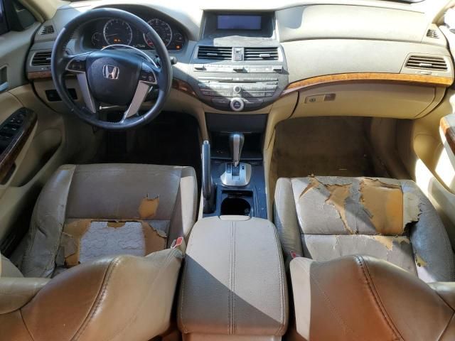 2009 Honda Accord EXL