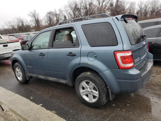 2011 Ford Escape Hybrid