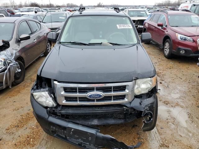 2008 Ford Escape XLT