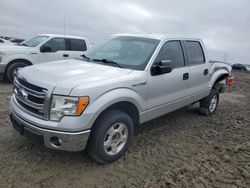 Salvage trucks for sale at Earlington, KY auction: 2014 Ford F150 Supercrew