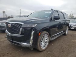 Salvage SUVs for sale at auction: 2023 Cadillac Escalade ESV Luxury