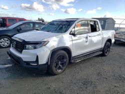Vehiculos salvage en venta de Copart Antelope, CA: 2023 Honda Ridgeline Black Edition