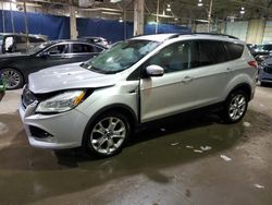 2013 Ford Escape SEL for sale in Woodhaven, MI