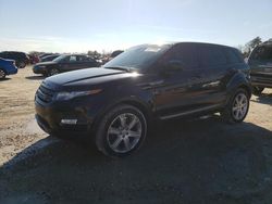 Land Rover salvage cars for sale: 2015 Land Rover Range Rover Evoque Pure Plus