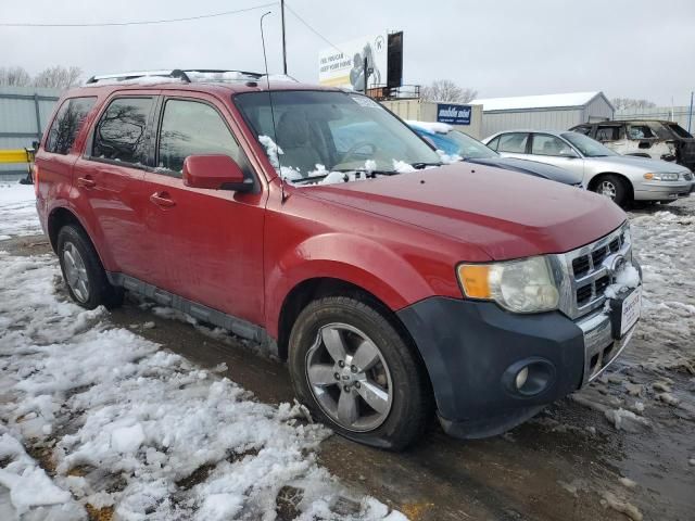 2011 Ford Escape Limited