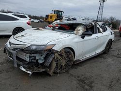 Toyota Camry TRD salvage cars for sale: 2023 Toyota Camry TRD