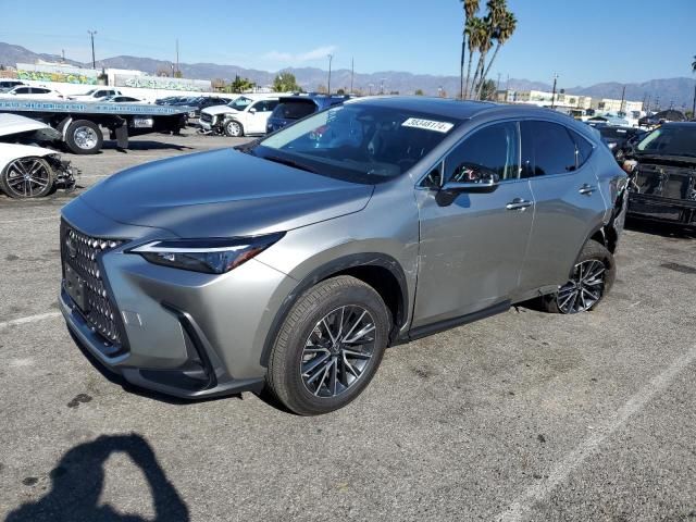 2023 Lexus NX 350H