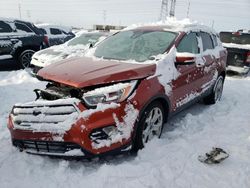 Salvage cars for sale at Elgin, IL auction: 2019 Ford Escape Titanium