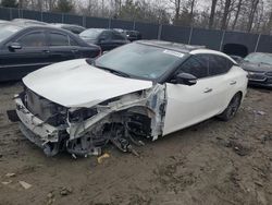 Nissan Maxima S salvage cars for sale: 2019 Nissan Maxima S