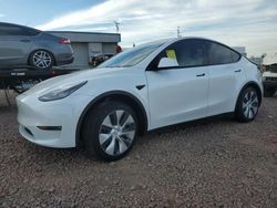 Tesla Model Y salvage cars for sale: 2021 Tesla Model Y