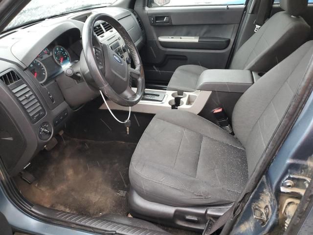 2010 Ford Escape XLT