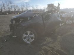 Buy Salvage Cars For Sale now at auction: 2019 Toyota Rav4 XLE