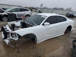 Dodge Charger salvage cars for sale: 2016 Dodge Charger R/T Scat Pack