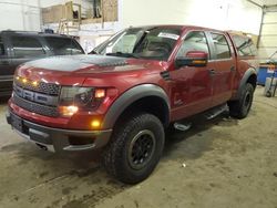 Salvage cars for sale at Ham Lake, MN auction: 2014 Ford F150 SVT Raptor