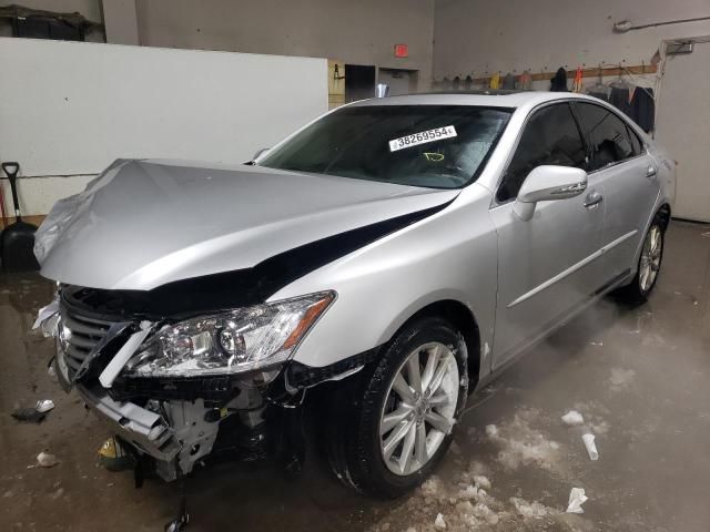 2011 Lexus ES 350