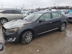 Salvage cars for sale at Indianapolis, IN auction: 2014 KIA Cadenza Premium