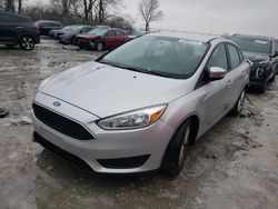 Ford Focus salvage cars for sale: 2016 Ford Focus SE