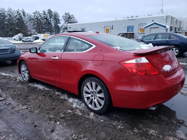 2010 Honda Accord EXL