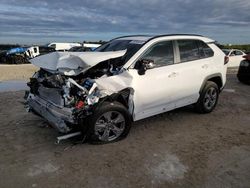 Salvage cars for sale at West Palm Beach, FL auction: 2023 Toyota Rav4 XLE