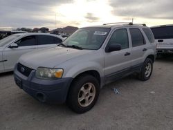 Salvage cars for sale at North Las Vegas, NV auction: 2005 Ford Escape XLT