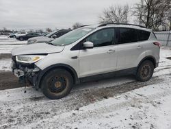 Salvage cars for sale at London, ON auction: 2017 Ford Escape SE