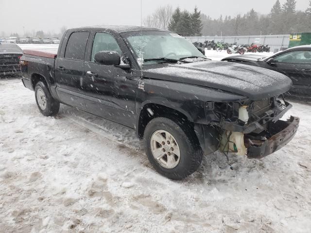 2010 Dodge Dakota SXT