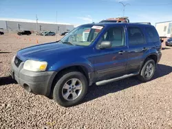 Salvage cars for sale at Phoenix, AZ auction: 2007 Ford Escape XLT