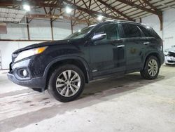 Salvage cars for sale at Lexington, KY auction: 2011 KIA Sorento EX