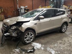 Salvage cars for sale at Ebensburg, PA auction: 2017 Ford Escape SE