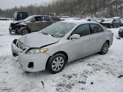 Salvage cars for sale from Copart Marlboro, NY: 2011 Toyota Corolla Base