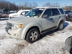 Salvage cars for sale at Marlboro, NY auction: 2008 Ford Escape XLT