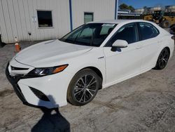 Salvage cars for sale from Copart Tulsa, OK: 2019 Toyota Camry Hybrid