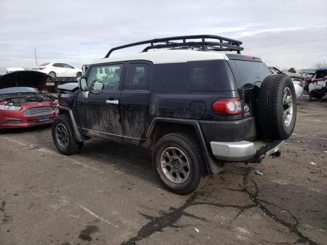 2013 Toyota FJ Cruiser