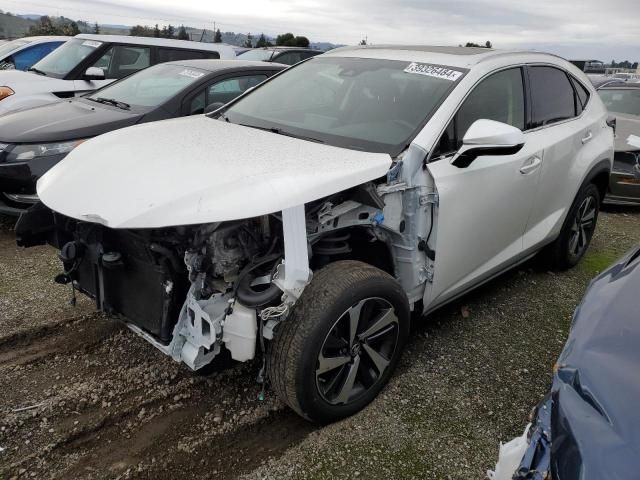 2019 Lexus NX 300H