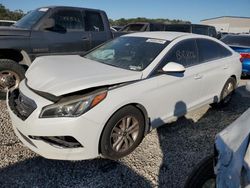 Salvage cars for sale at Apopka, FL auction: 2015 Hyundai Sonata SE