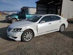 Salvage cars for sale at Helena, MT auction: 2010 Lexus LS 460L