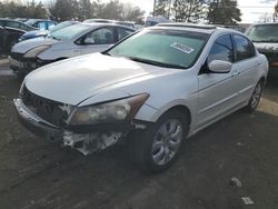 Salvage cars for sale at Brighton, CO auction: 2008 Honda Accord EXL