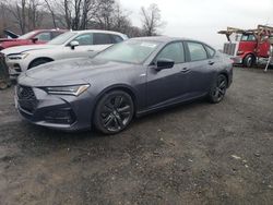 Salvage cars for sale at Marlboro, NY auction: 2023 Acura TLX A-Spec