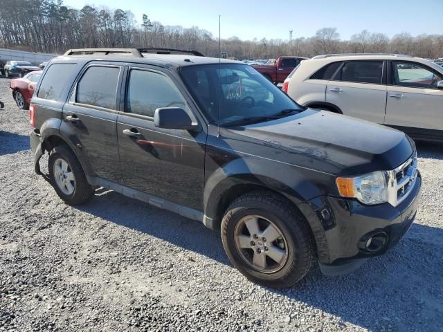 2012 Ford Escape XLT