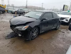 Salvage cars for sale at Dyer, IN auction: 2014 Scion TC