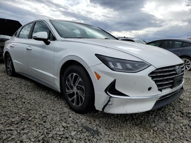 2020 Hyundai Sonata Hybrid