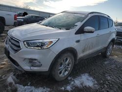 Salvage cars for sale at Kansas City, KS auction: 2017 Ford Escape SE